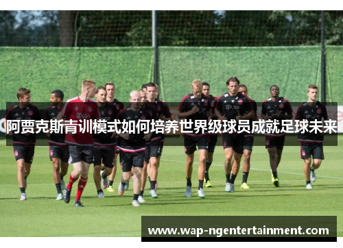 阿贾克斯青训模式如何培养世界级球员成就足球未来 阿贾克斯青训模式如何培养世界级球员成就足球未来