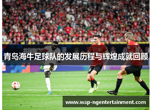 青岛海牛足球队的发展历程与辉煌成就回顾